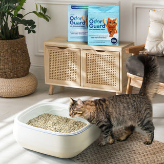 MASTERING THE ART OF CAT TRAINING: A GUIDE TO LITTER BOX SUCCESS